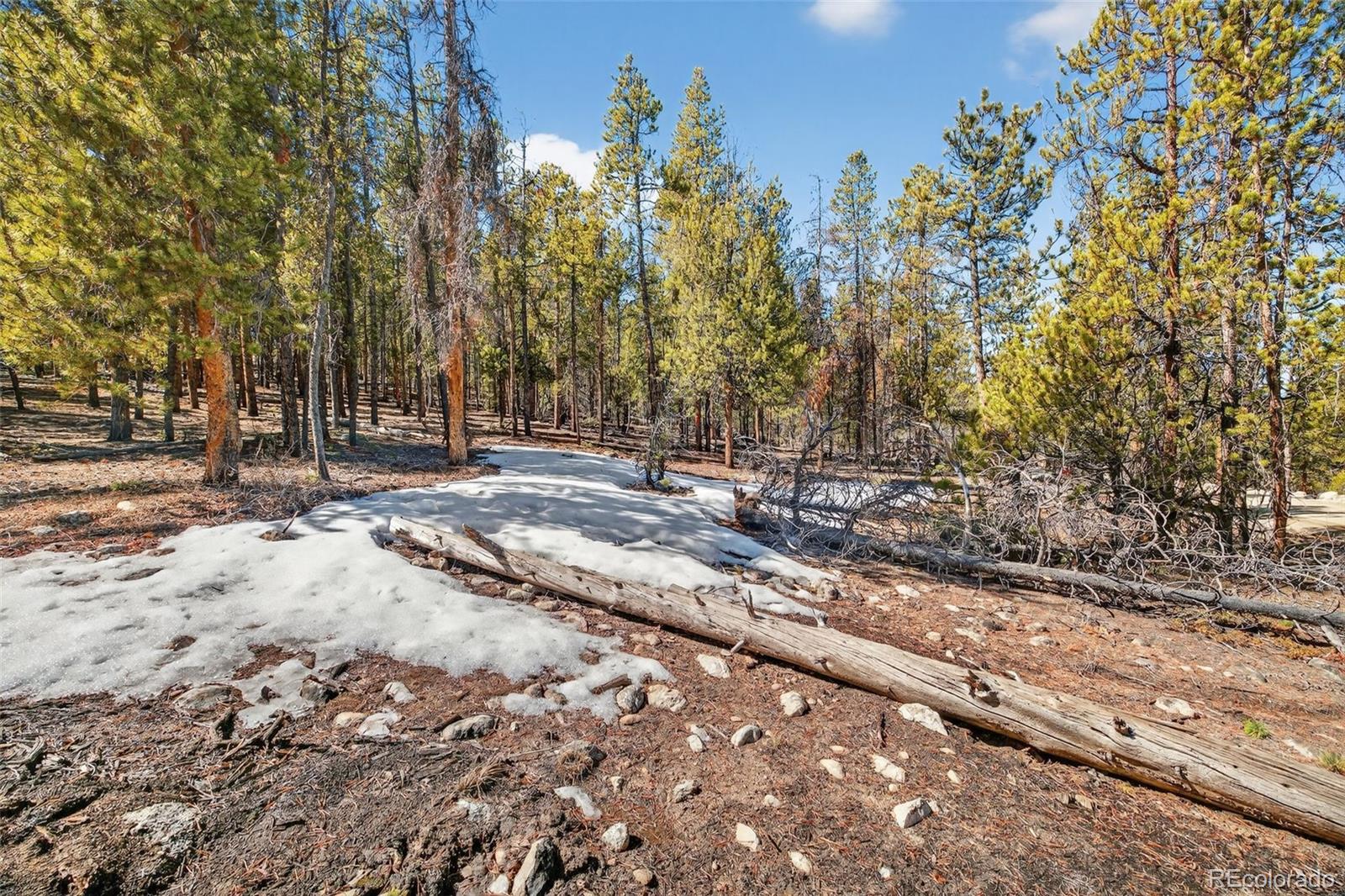 312 Mt Massive Road Twin Lakes, CO 81251 - Photo 5 of 30 a view of road with trees
