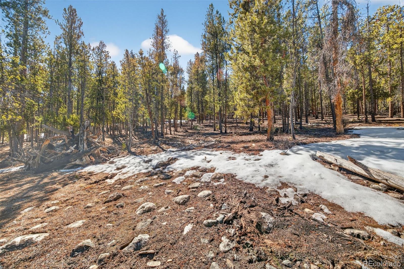312 Mt Massive Road Twin Lakes, CO 81251 - Photo 6 of 30 a view of road with trees