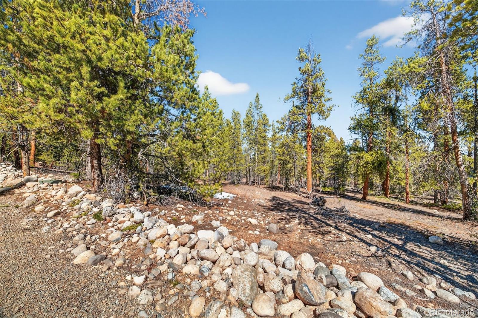 312 Mt Massive Road Twin Lakes, CO 81251 - Photo 7 of 30 a view of a yard with plants and trees