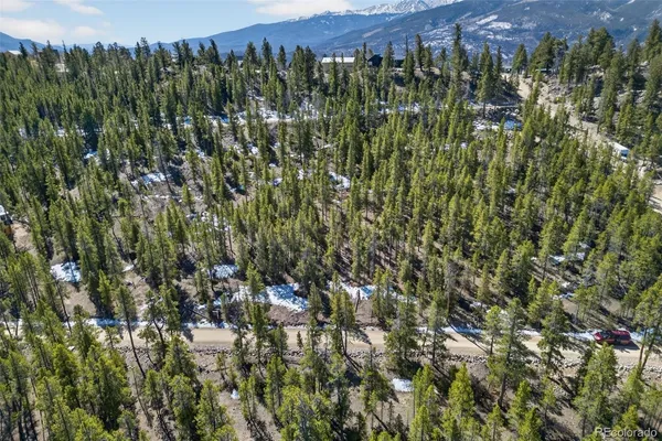 a view of a bunch of trees
