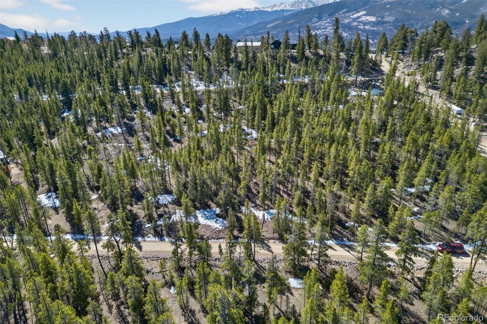 312 Mt Massive Road Twin Lakes, CO 81251 - Photo 9 of 30 a view of a bunch of trees