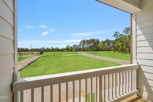 a view of a field of grass and a palm tree