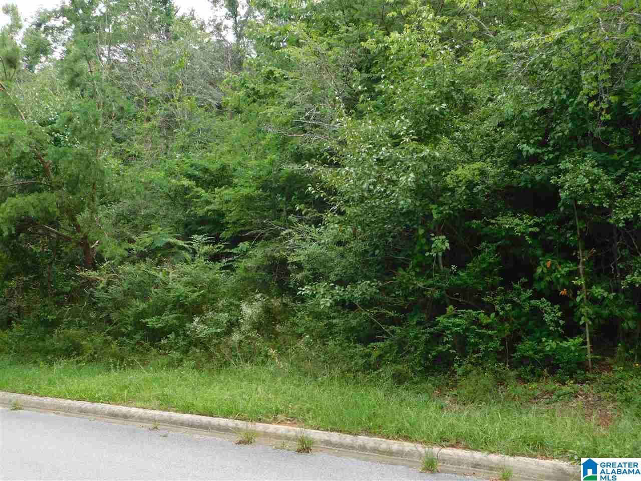 Westbrook Street Sumiton, AL 35148 - Photo 1 of 1