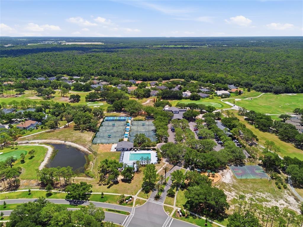 4941 Willow Ridge Terrace Valrico, FL 33596 - Photo 50 of 50