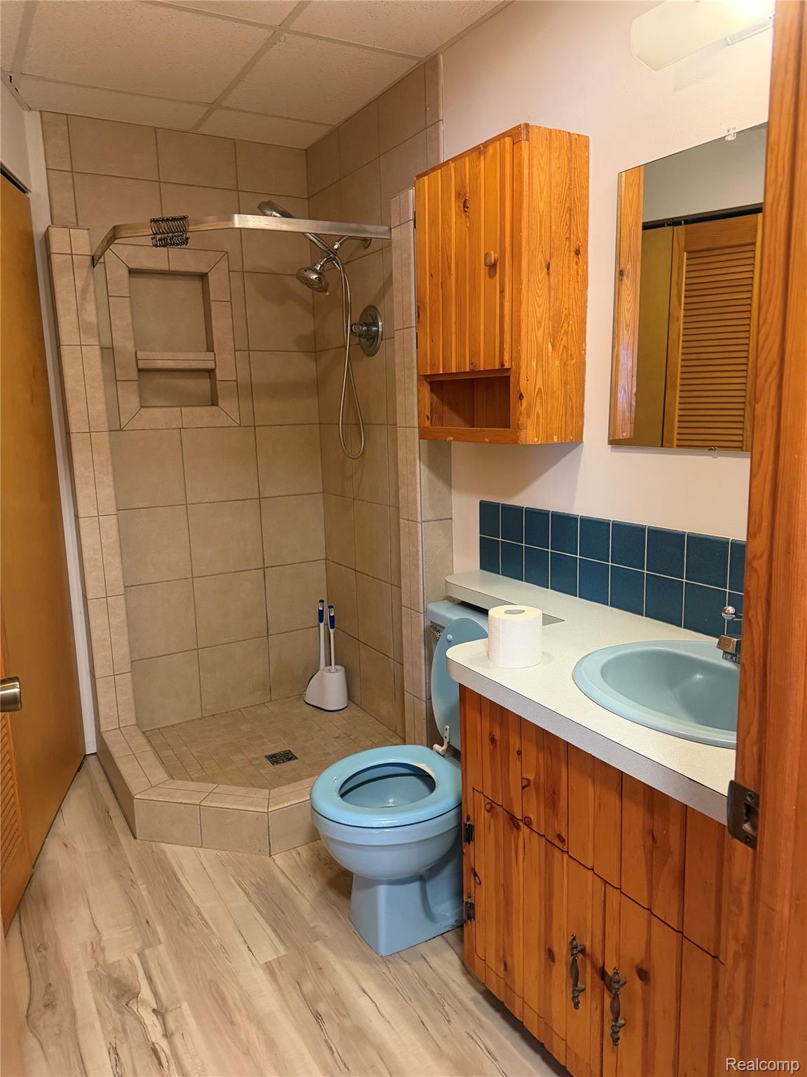 5749 Leix Road Mayville, MI 48744 - Photo 39 of 44 Bathroom featuring light wood-style floors, a shower stall, vanity, and decorative backsplash