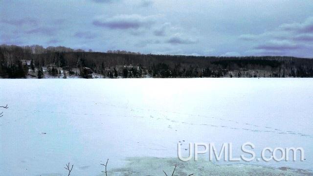 257 Kohon Road Crystal Falls, MI 49920 - Photo 27 of 32 Gallery Image 27