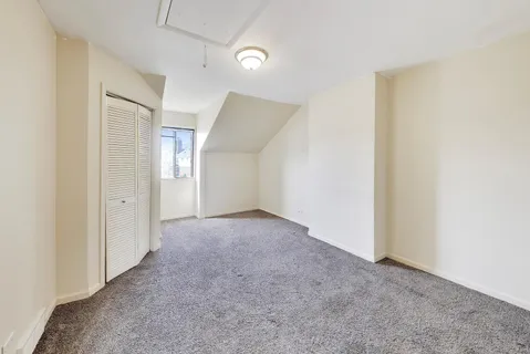 a view of a big room with closet and windows