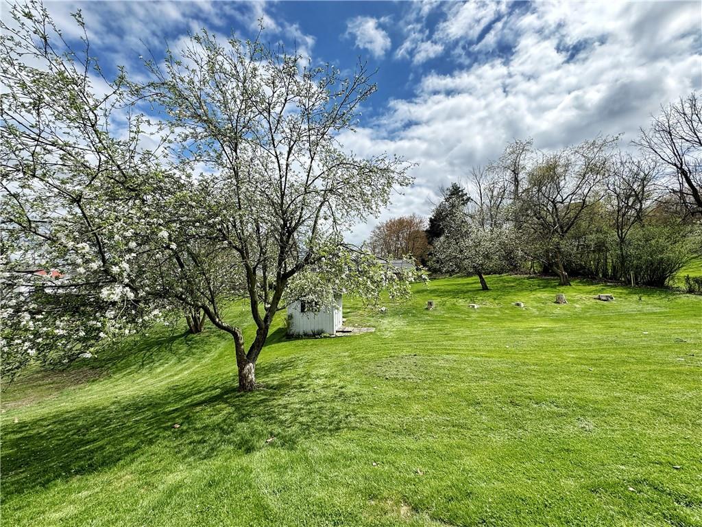 1215 Center Road Monaca, PA 15061 - Photo 32 of 33 a view of a field with large trees