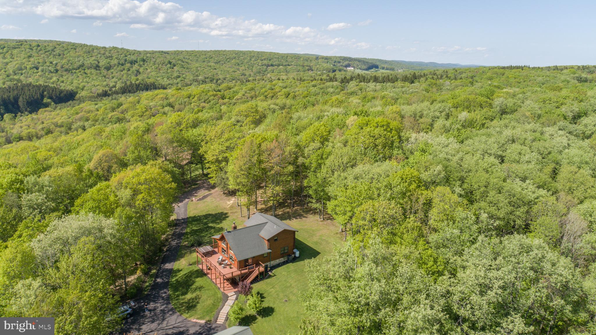 295 Teaberry Ridge Road Lonaconing, MD 21539 - Photo 87 of 90 Gallery Image 87