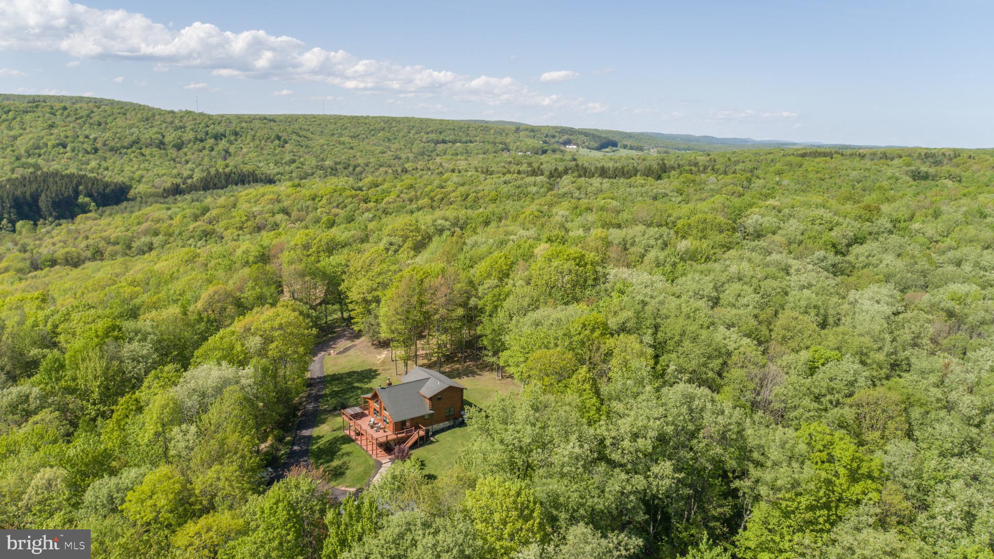 295 Teaberry Ridge Road Lonaconing, MD 21539 - Photo 88 of 90 Gallery Image 88