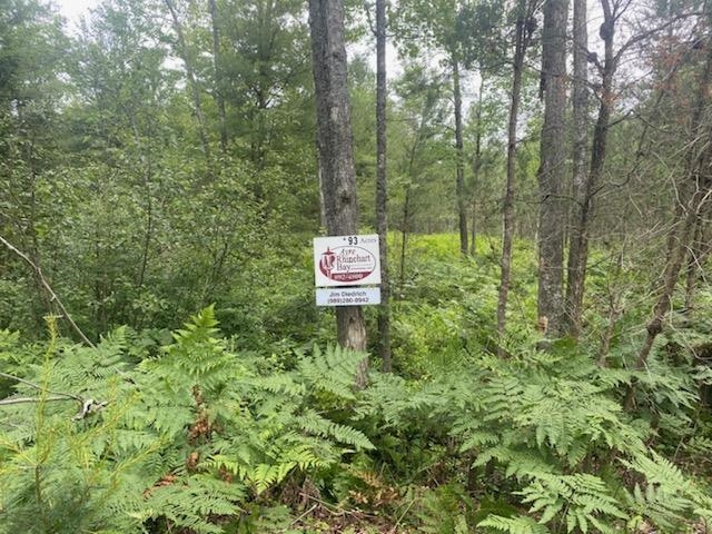 West Ausable Point Road East Tawas, MI 48730 - Photo 3 of 25