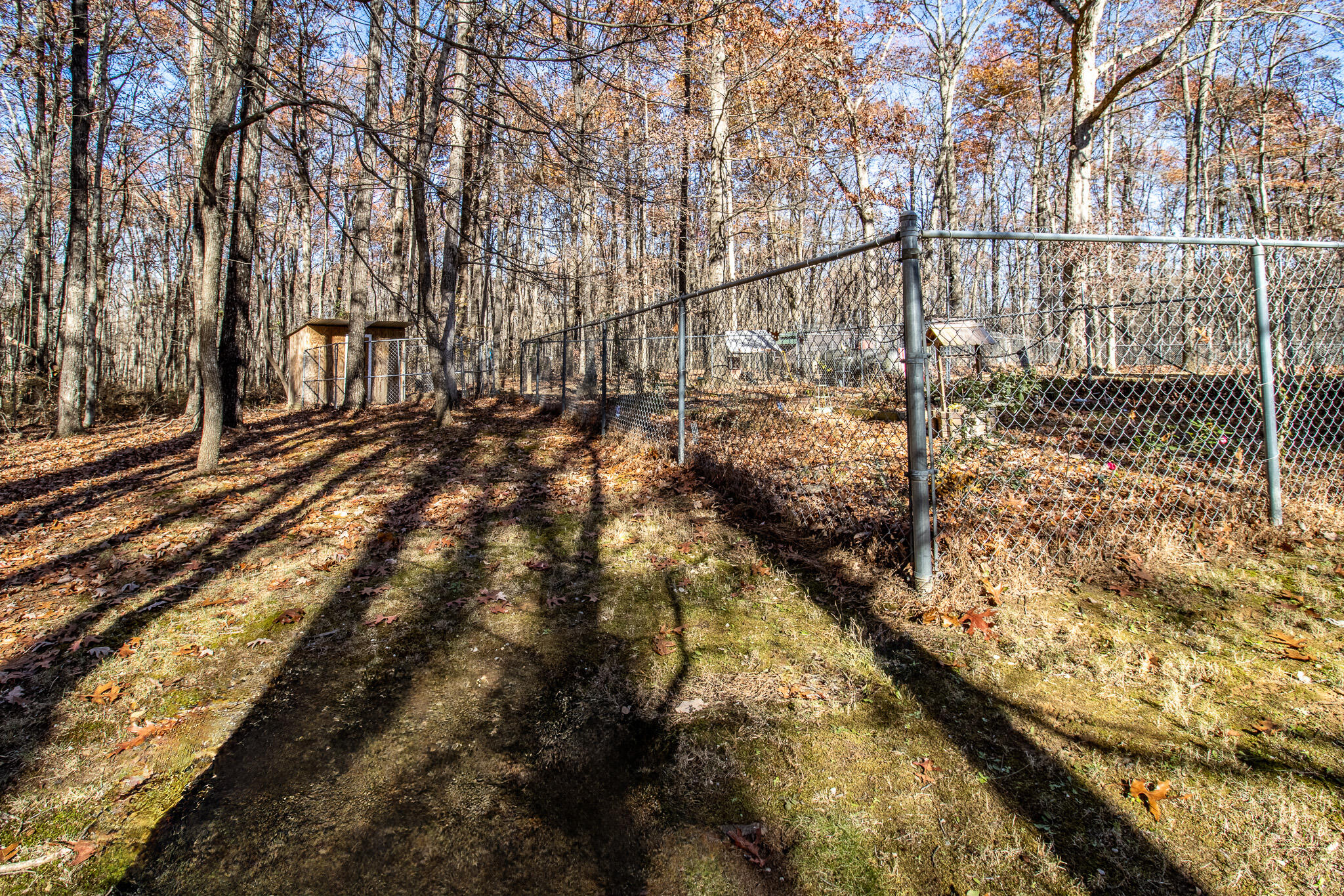 3241 Deer Run Road Altamont, TN 37301 - Photo 35 of 51 fenced in backyard
