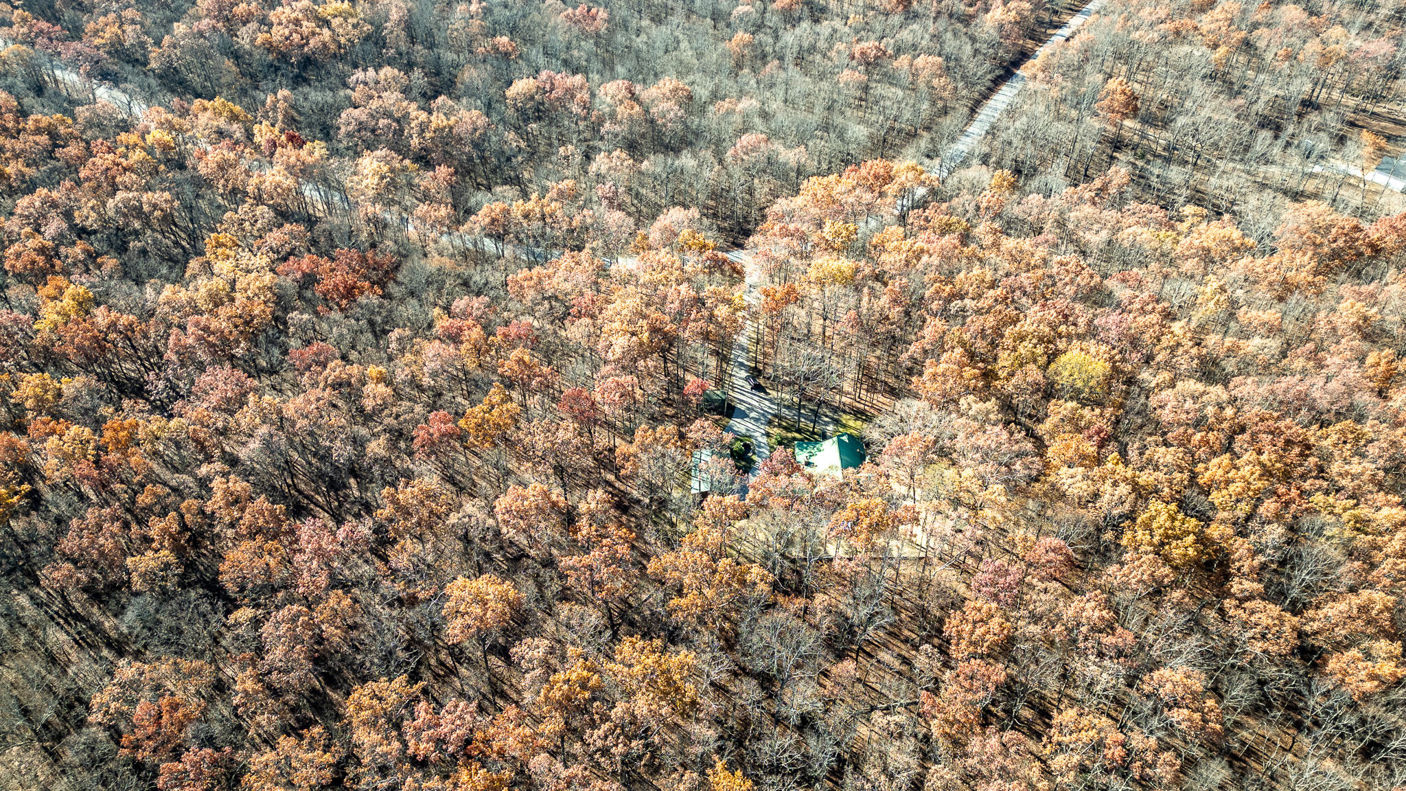 3241 Deer Run Road Altamont, TN 37301 - Photo 45 of 51 DJI_0162-HDR