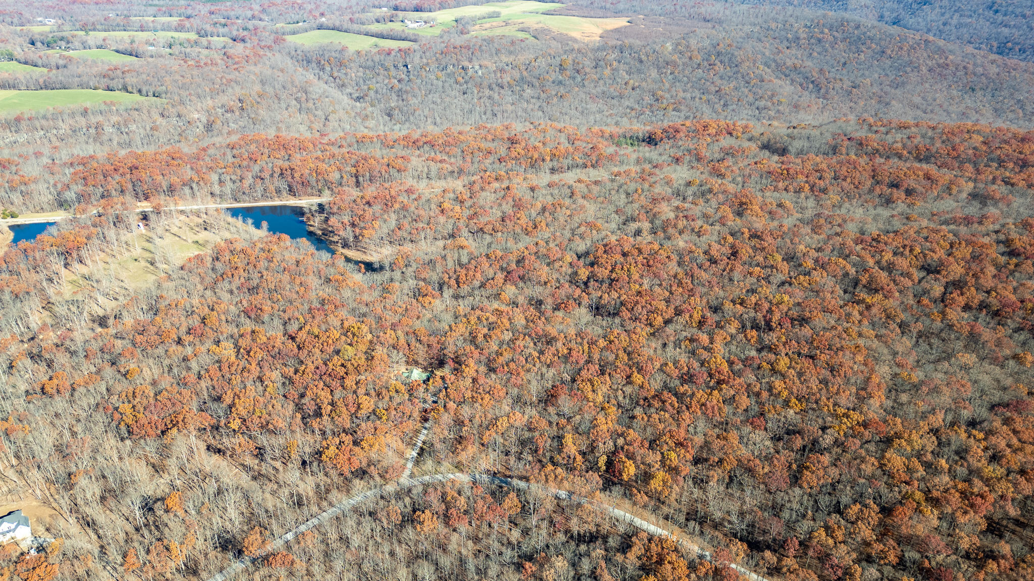 3241 Deer Run Road Altamont, TN 37301 - Photo 46 of 51 36 acres