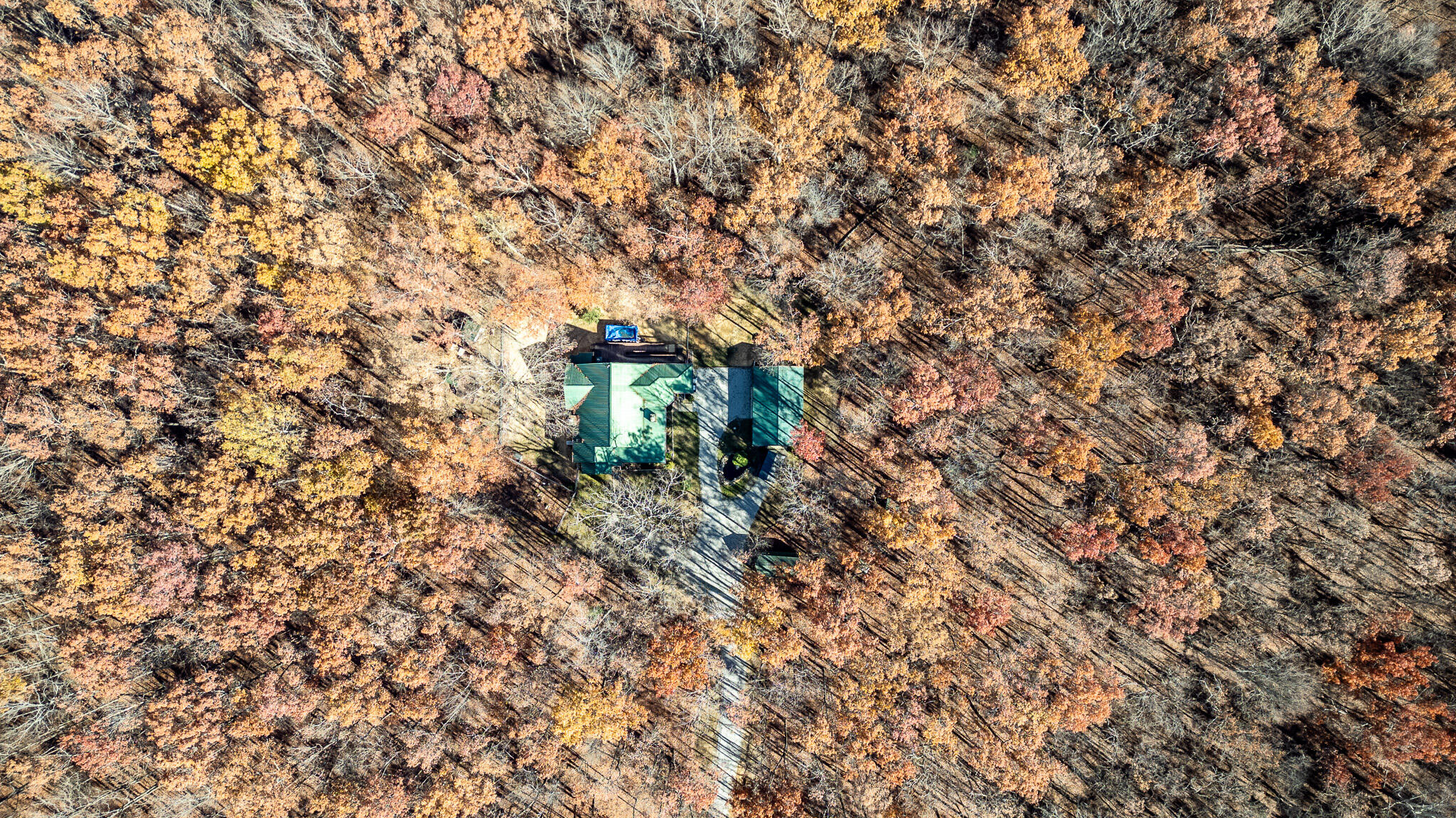 3241 Deer Run Road Altamont, TN 37301 - Photo 8 of 51 DJI_0159-HDR
