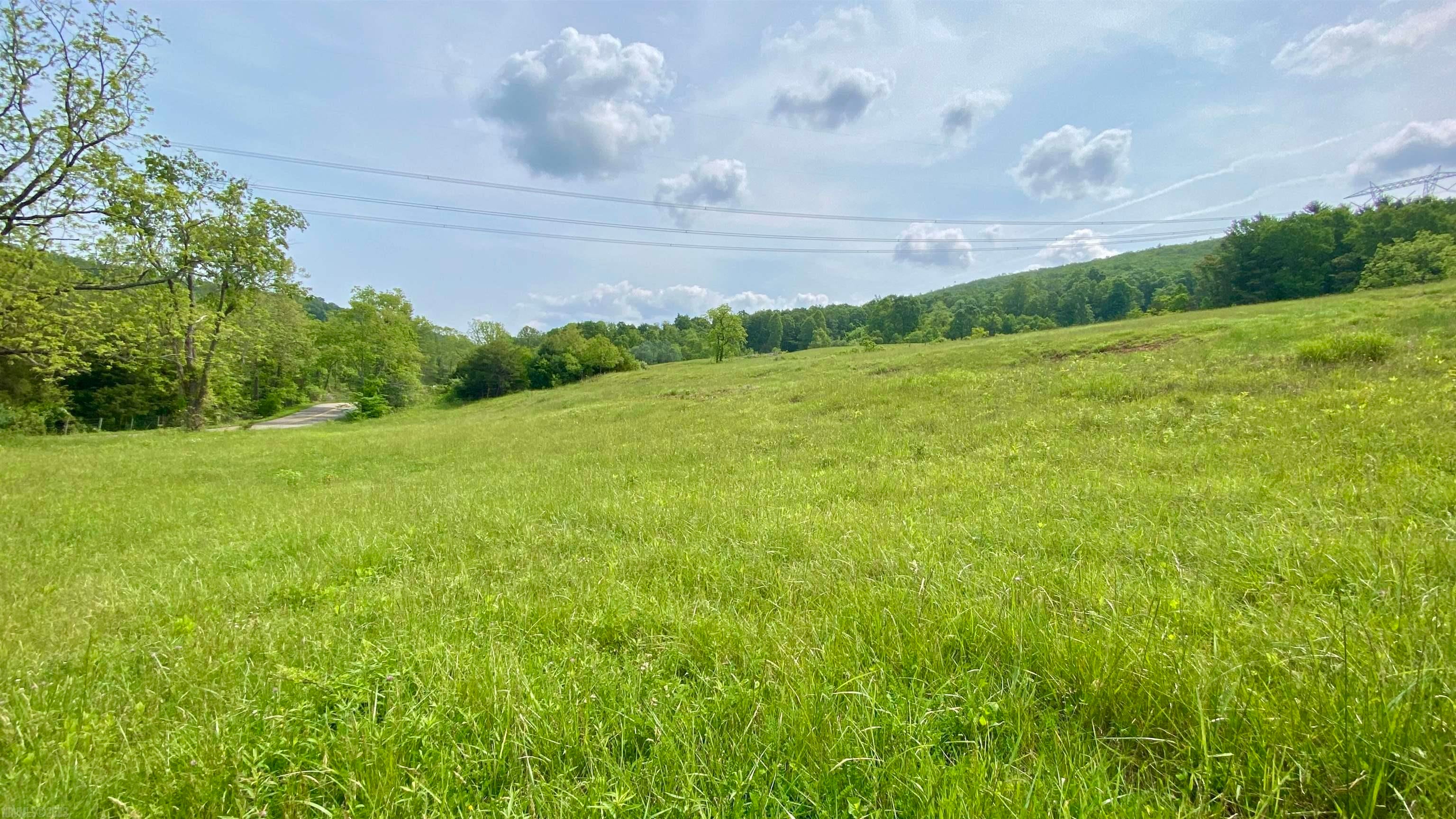 Tbd Castleton Road Max Meadows, VA 24360 - Photo 2 of 37 Gallery Image 2
