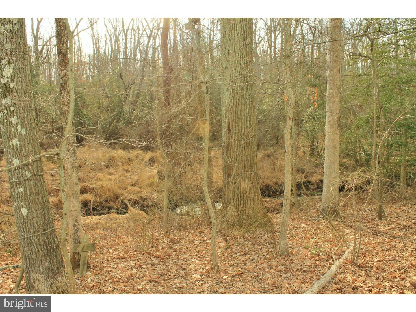 225 Johnson Road Turnersville, NJ 08012 - Photo 25 of 25 Gallery Image 25