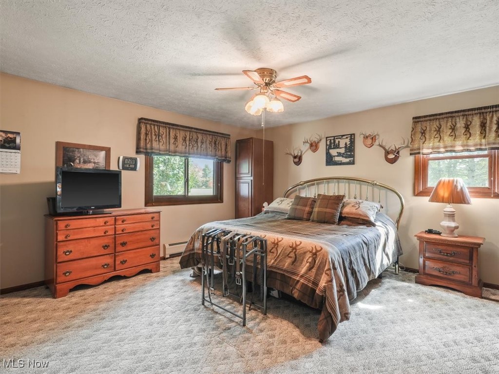 3098 East Union Road Jefferson, OH 44047 - Photo 14 of 44 Bedroom with multiple windows, light carpet, ceiling fan