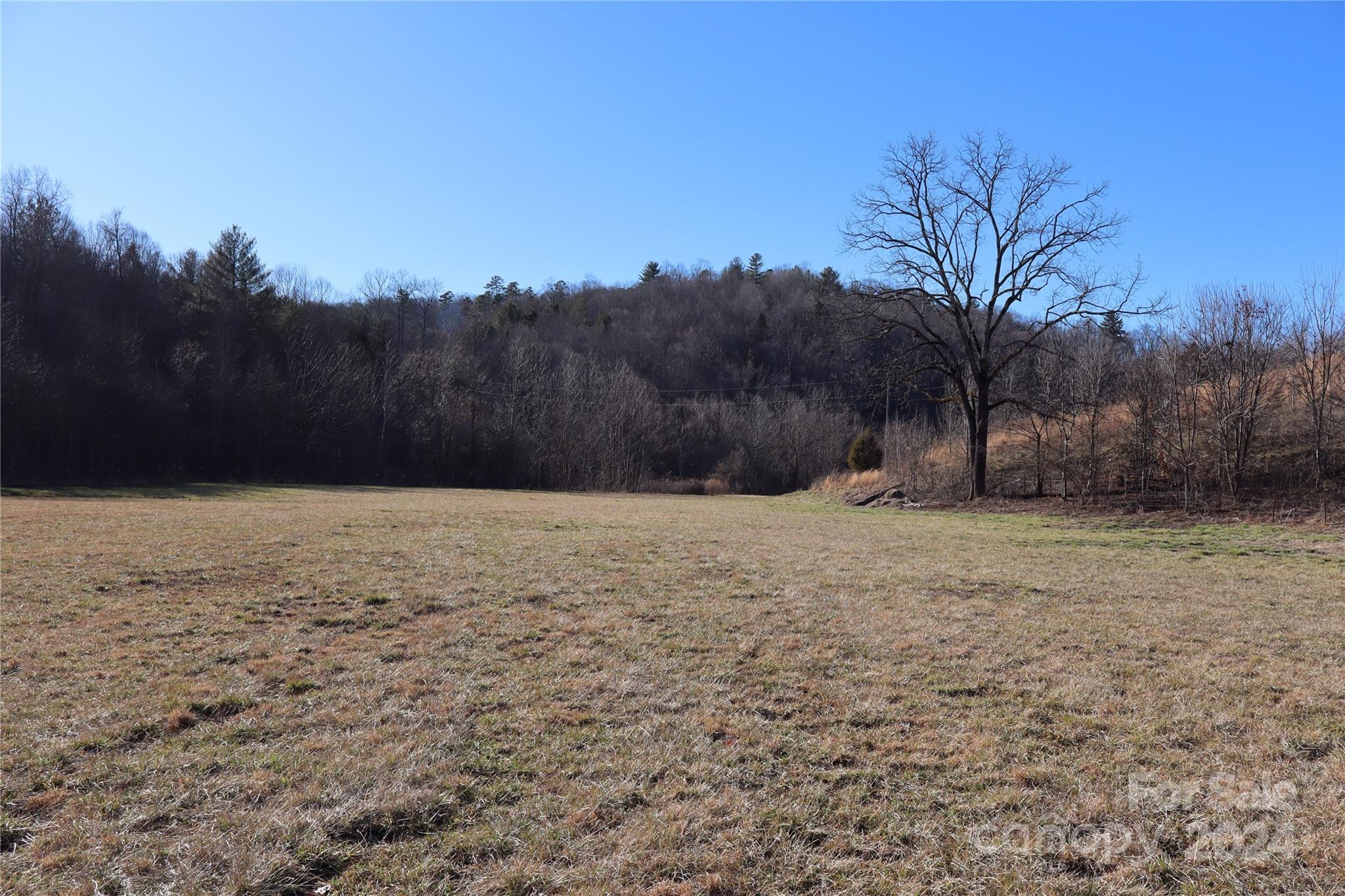0 South Creek Road Nebo, NC 28761 - Photo 11 of 43 Gallery Image 11