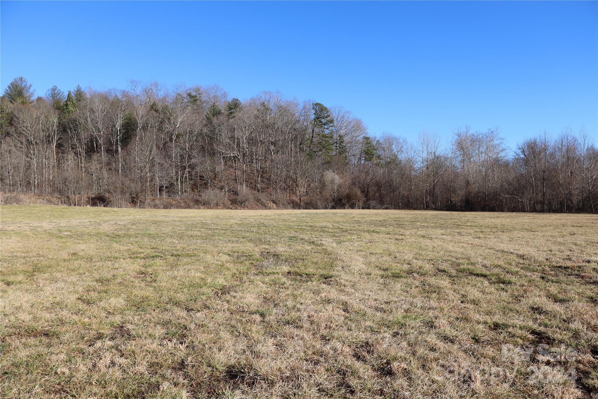 0 South Creek Road Nebo, NC 28761 - Photo 12 of 43 Gallery Image 12