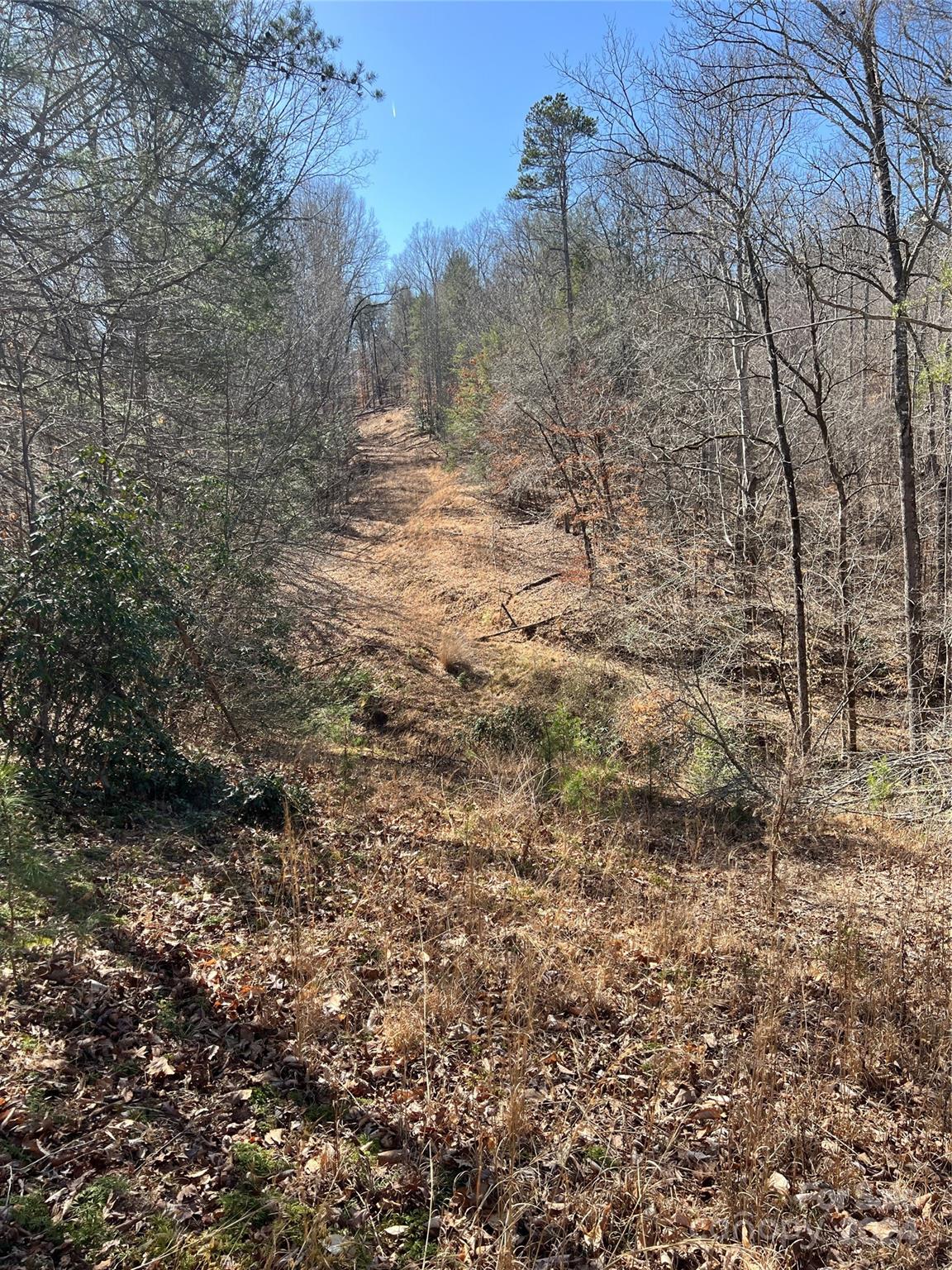 0 South Creek Road Nebo, NC 28761 - Photo 16 of 43 Gallery Image 16