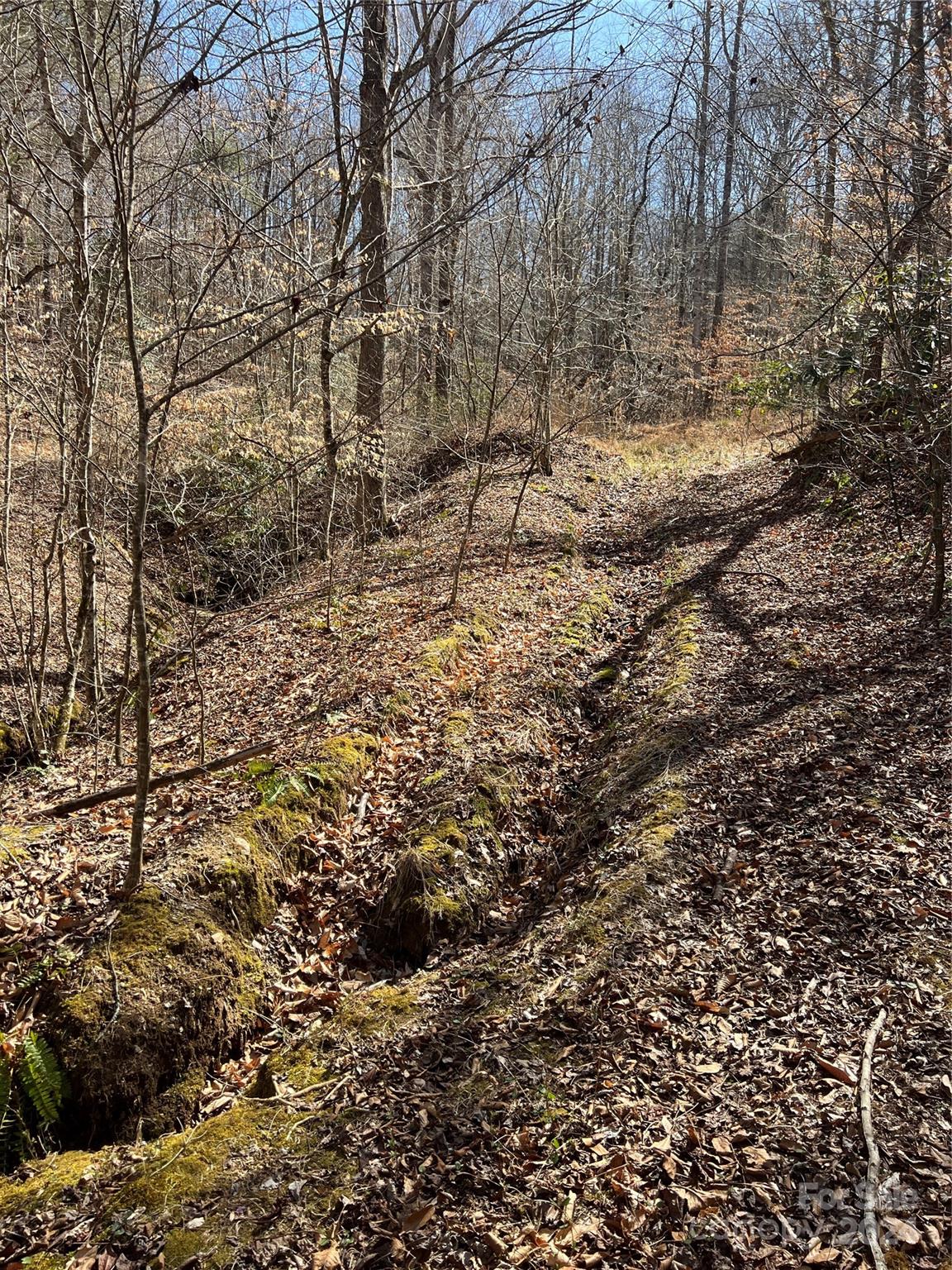 0 South Creek Road Nebo, NC 28761 - Photo 21 of 43 Gallery Image 21