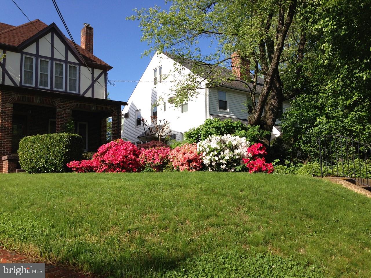 4123 Military Road Northwest Washington, DC 20015 - Photo 4 of 42 Spring time azaleas in bloom