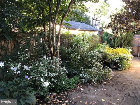 4123 Military Road Northwest Washington, DC 20015 - Photo 33 of 42 Gorgeous rear garden