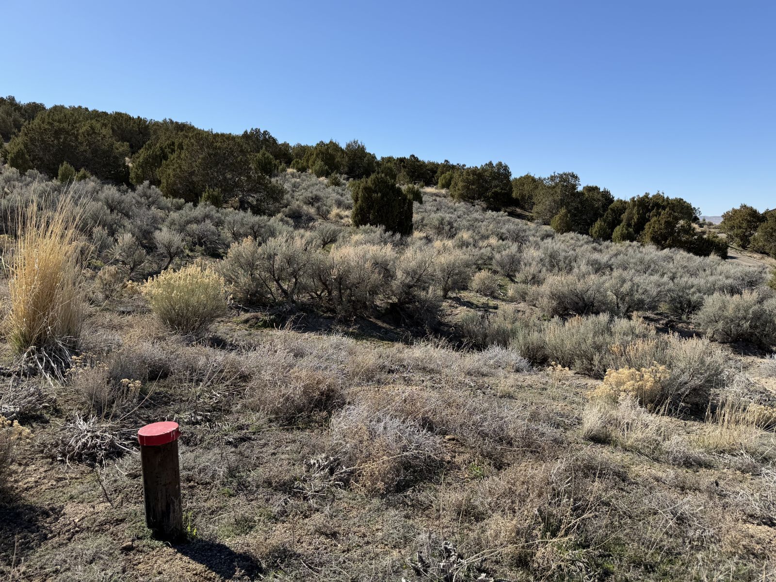 Andy's Way Elko, NV 89801 - Photo 4 of 16