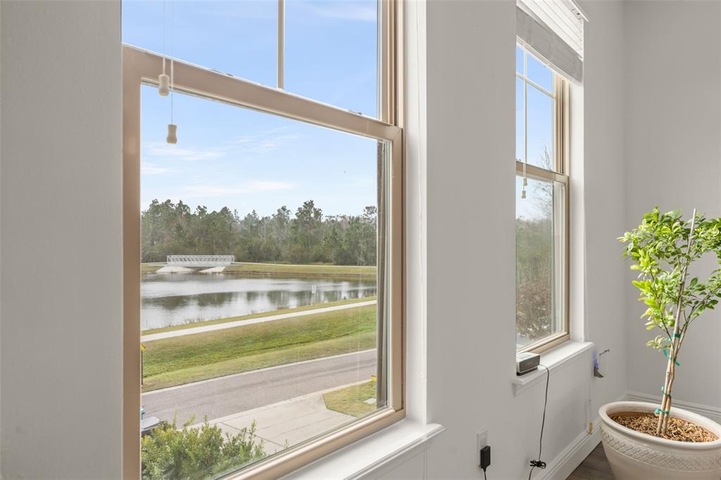 10814 Sunset Ridge Lane Orlando, FL 32832 - Photo 15 of 42 a view of back yard from a window