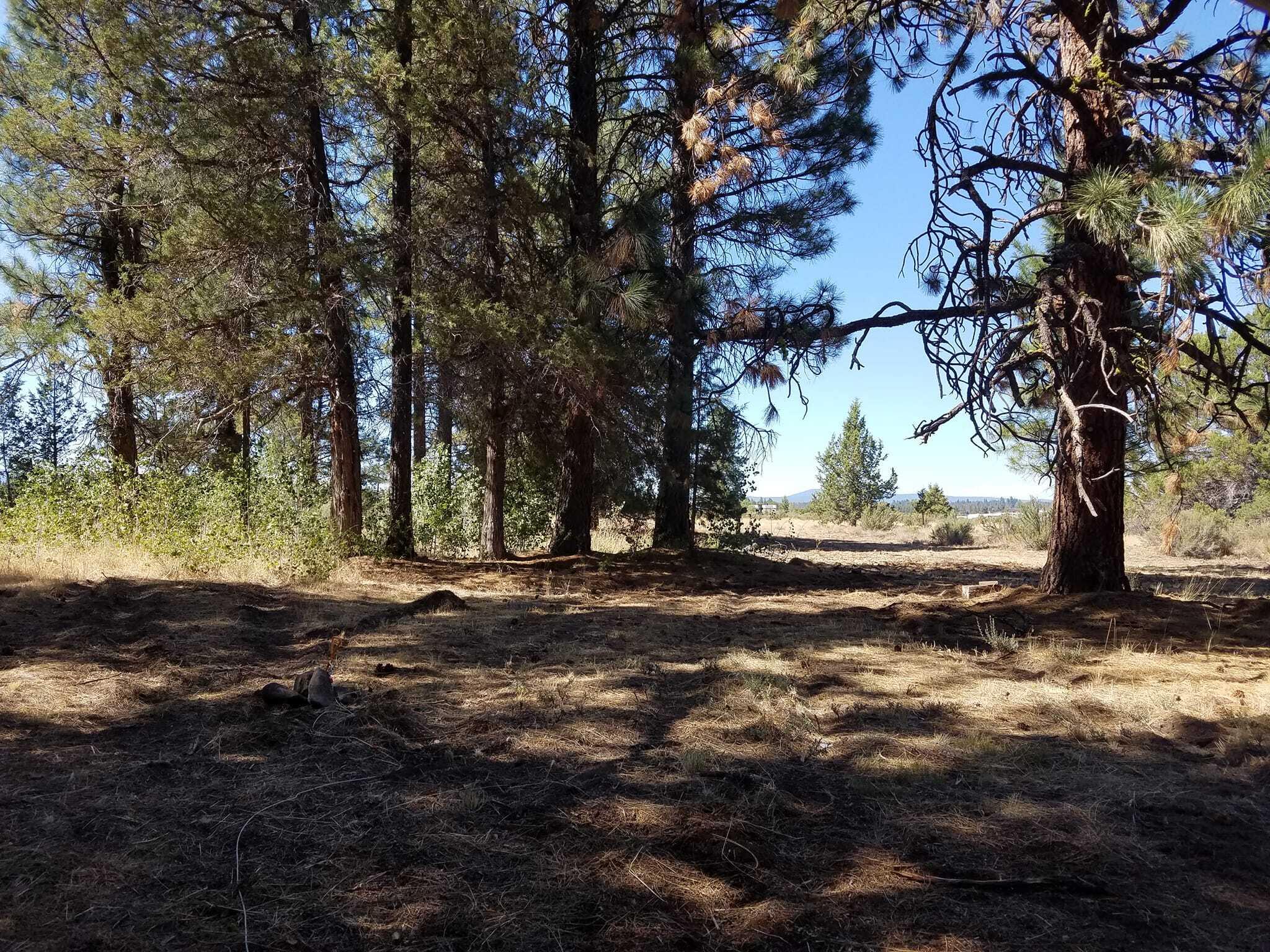 23110 East Forbes Road Sprague River, OR 97639 - Photo 4 of 15 300771088_10221189121950044_555527224259