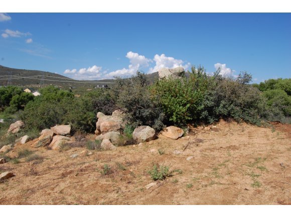 1340 Running Springs Road Dewey, AZ 86327 - Photo 13 of 20 a view of a yard with a tree