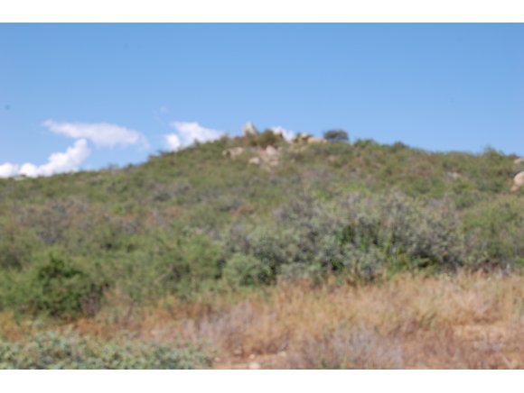 1340 Running Springs Road Dewey, AZ 86327 - Photo 15 of 20