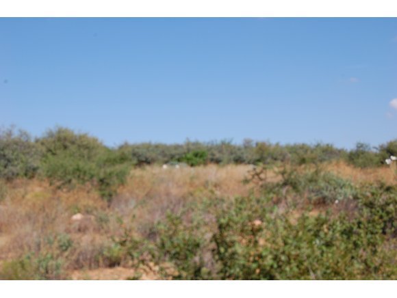 1340 Running Springs Road Dewey, AZ 86327 - Photo 18 of 20 a view of lake and mountain