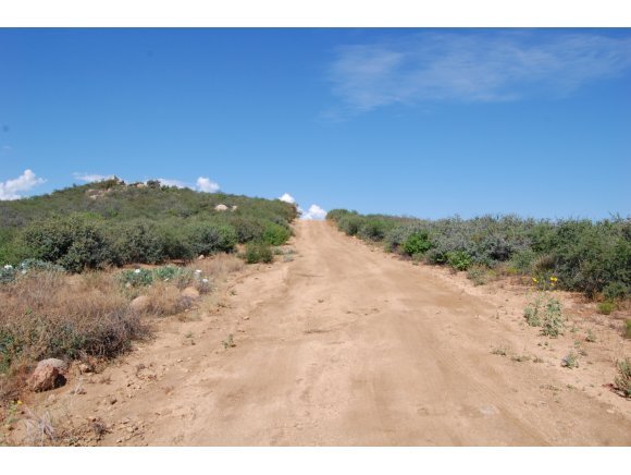 1340 Running Springs Road Dewey, AZ 86327 - Photo 19 of 20 a view of a dry yard