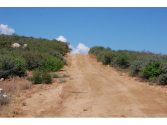 1340 Running Springs Road Dewey, AZ 86327 - Photo 20 of 20 a view of a dry yard with trees in the background