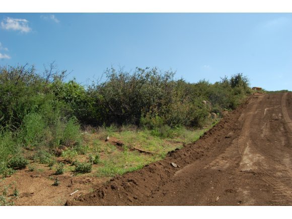 1340 Running Springs Road Dewey, AZ 86327 - Photo 9 of 20 a view of a dry yard with trees in the background