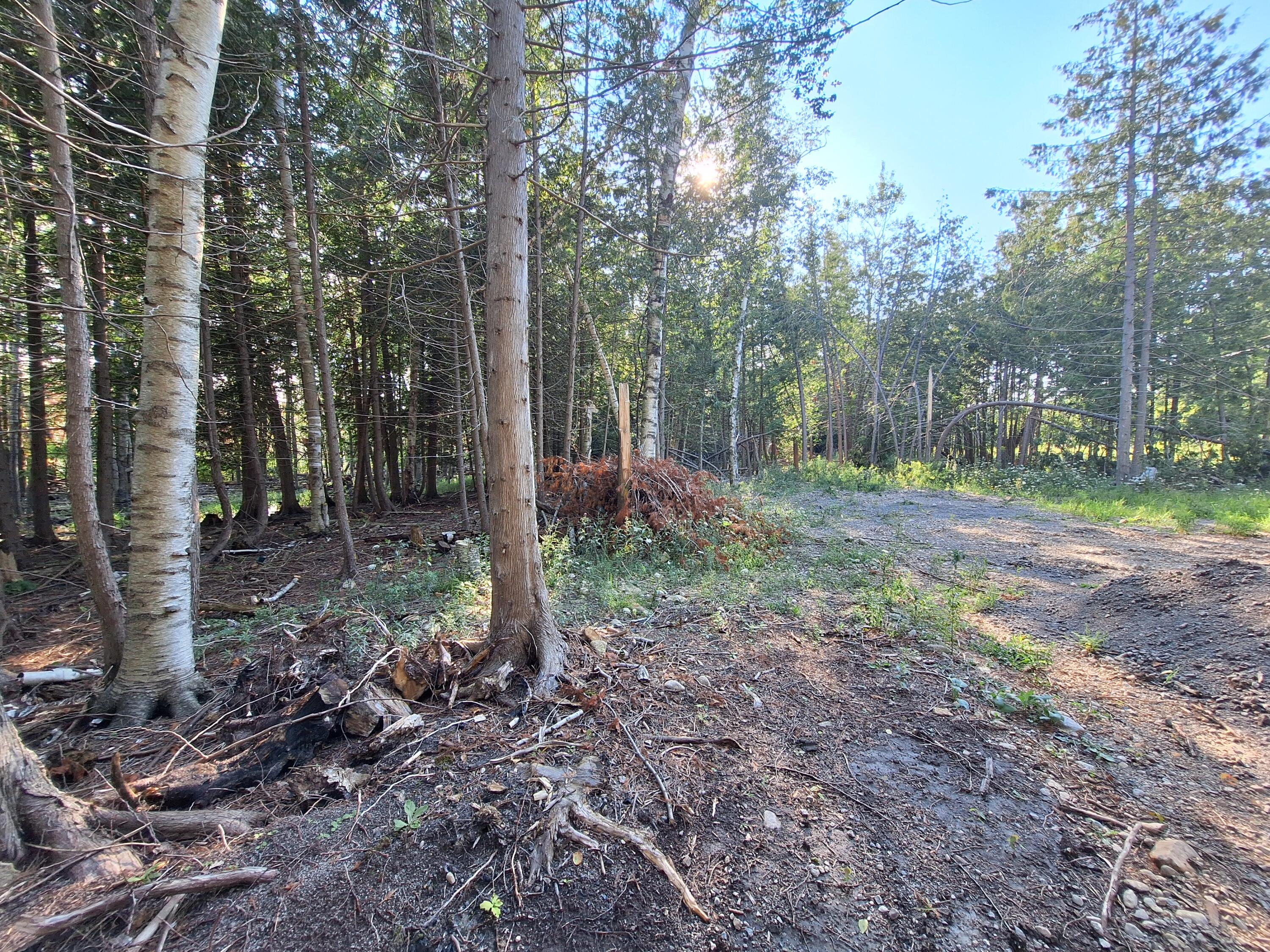 4063 Monaghan Point Road Alpena, MI 49707 - Photo 9 of 14 Gallery Image 9