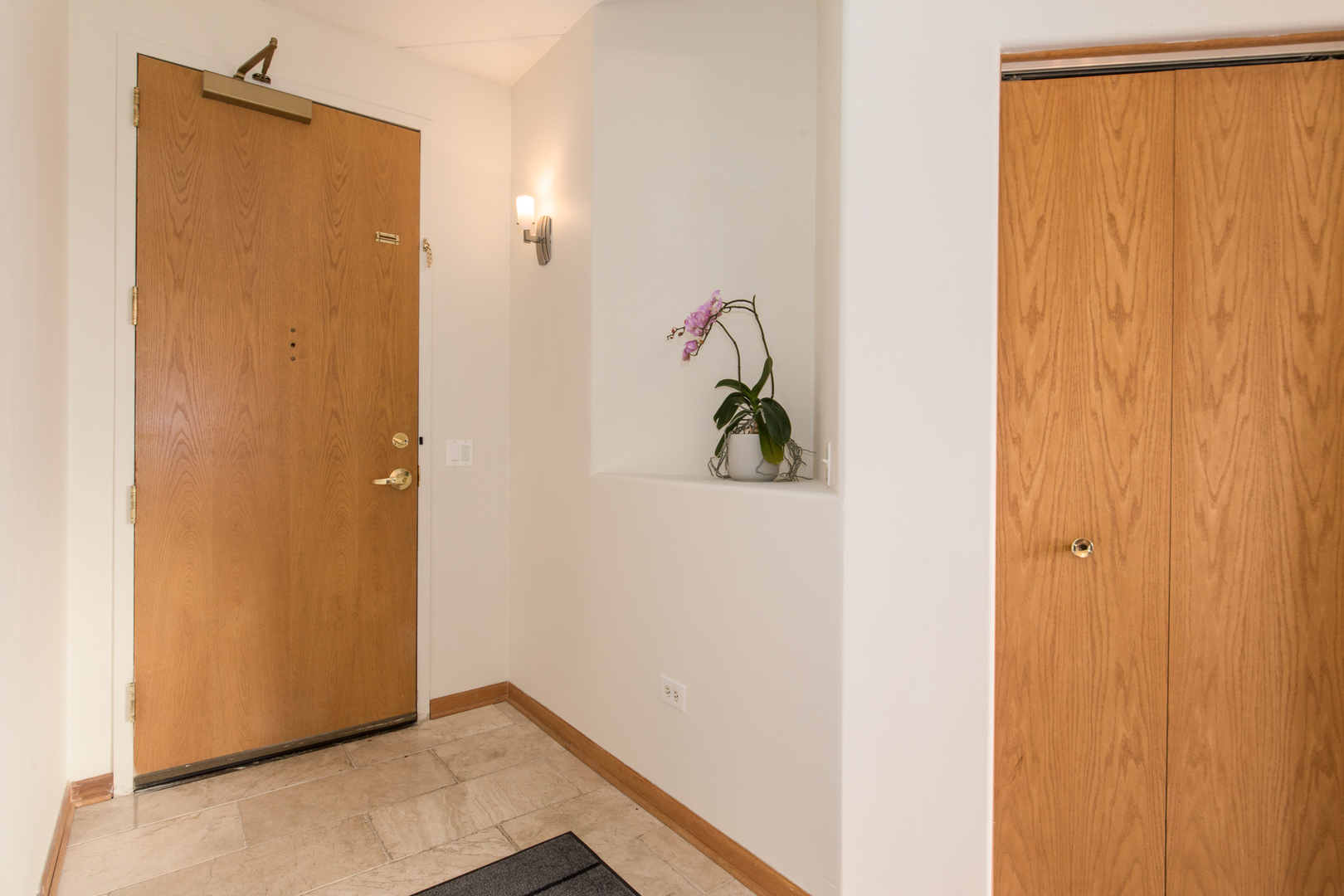 1705 Pavilion Way, Unit 401 Park Ridge, IL 60068 - Photo 4 of 25 a view of an front door
