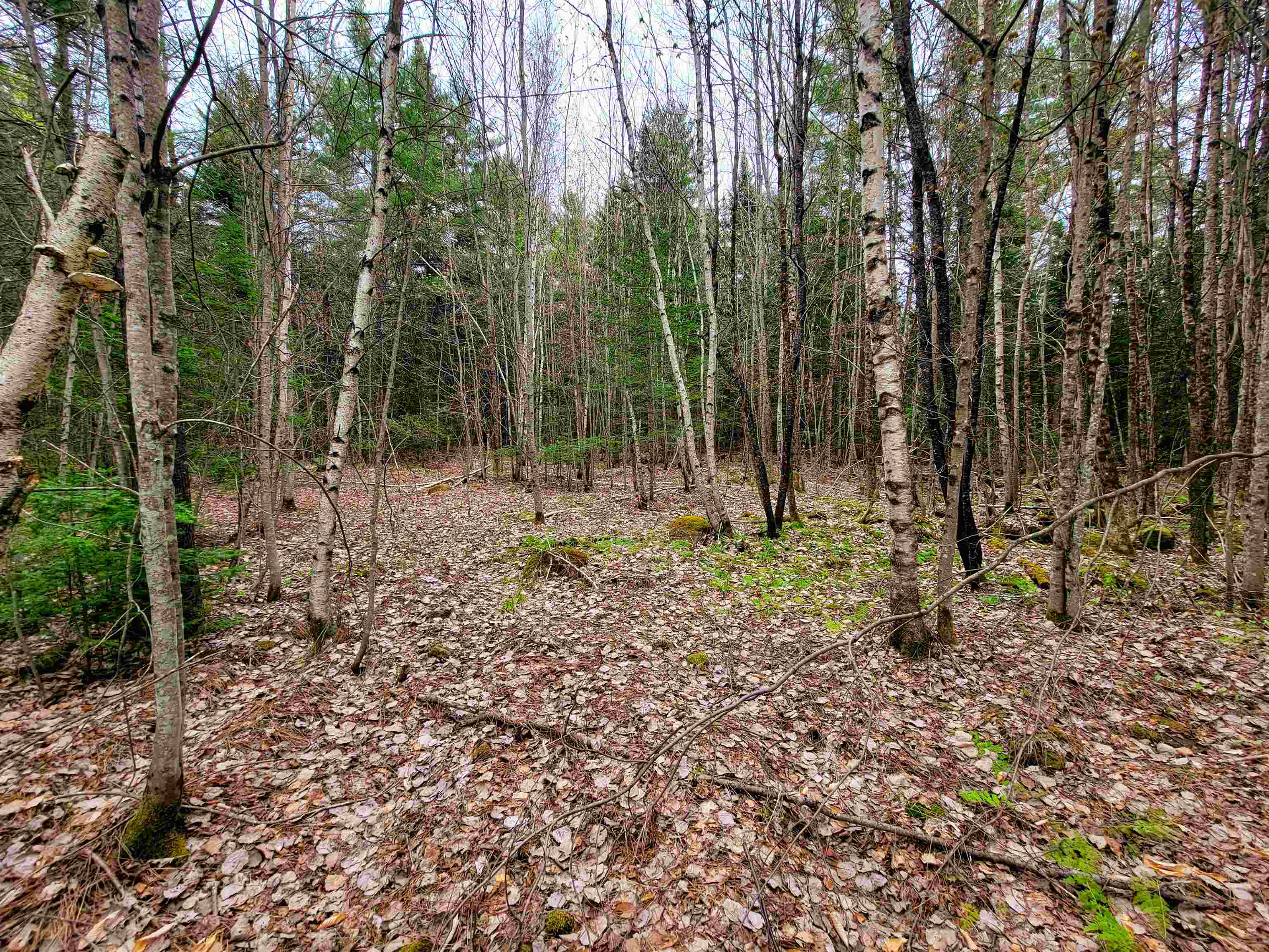 280 Guyette Road Plainfield, VT 05667 - Photo 11 of 38