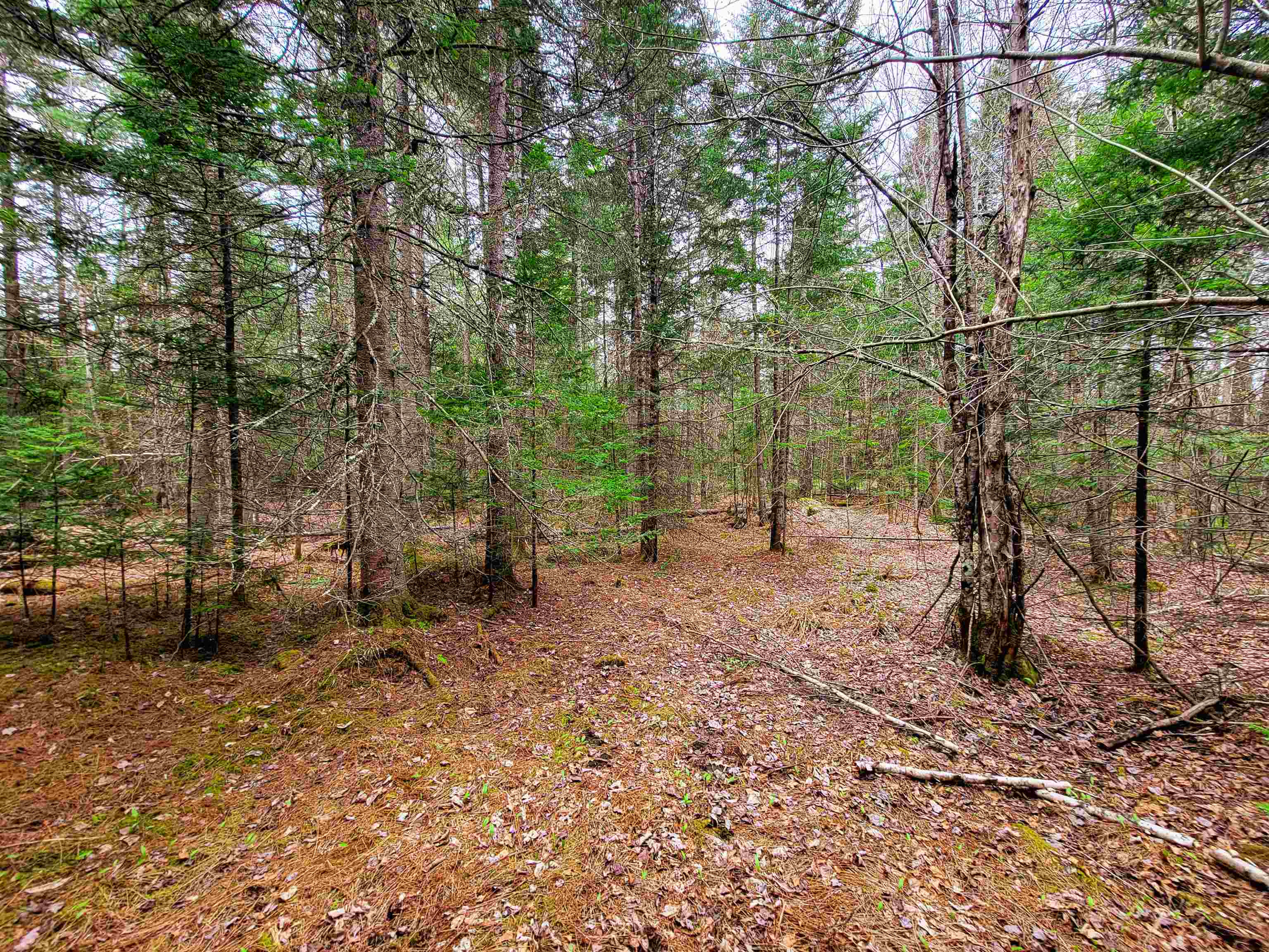280 Guyette Road Plainfield, VT 05667 - Photo 17 of 38