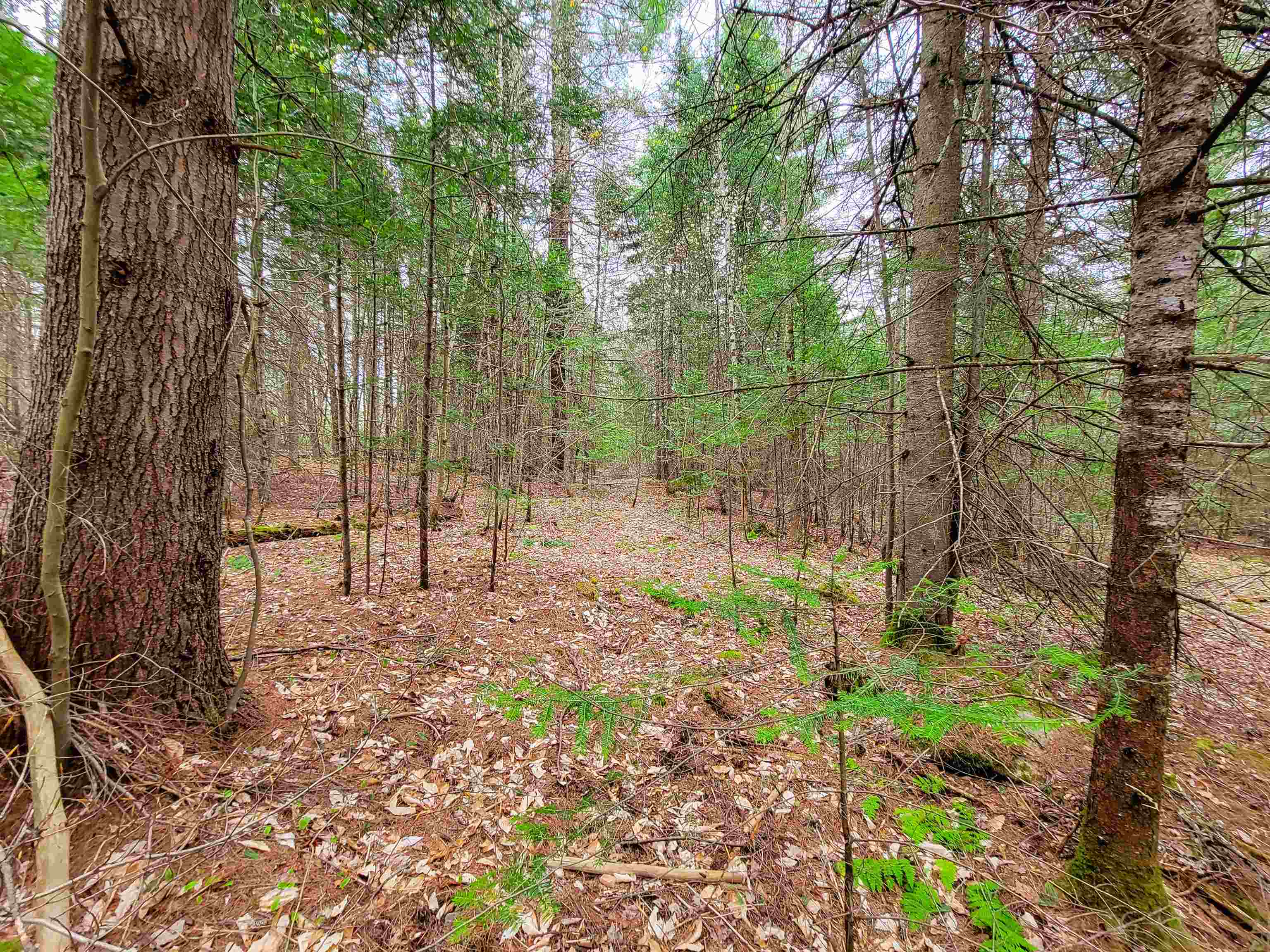 280 Guyette Road Plainfield, VT 05667 - Photo 22 of 38