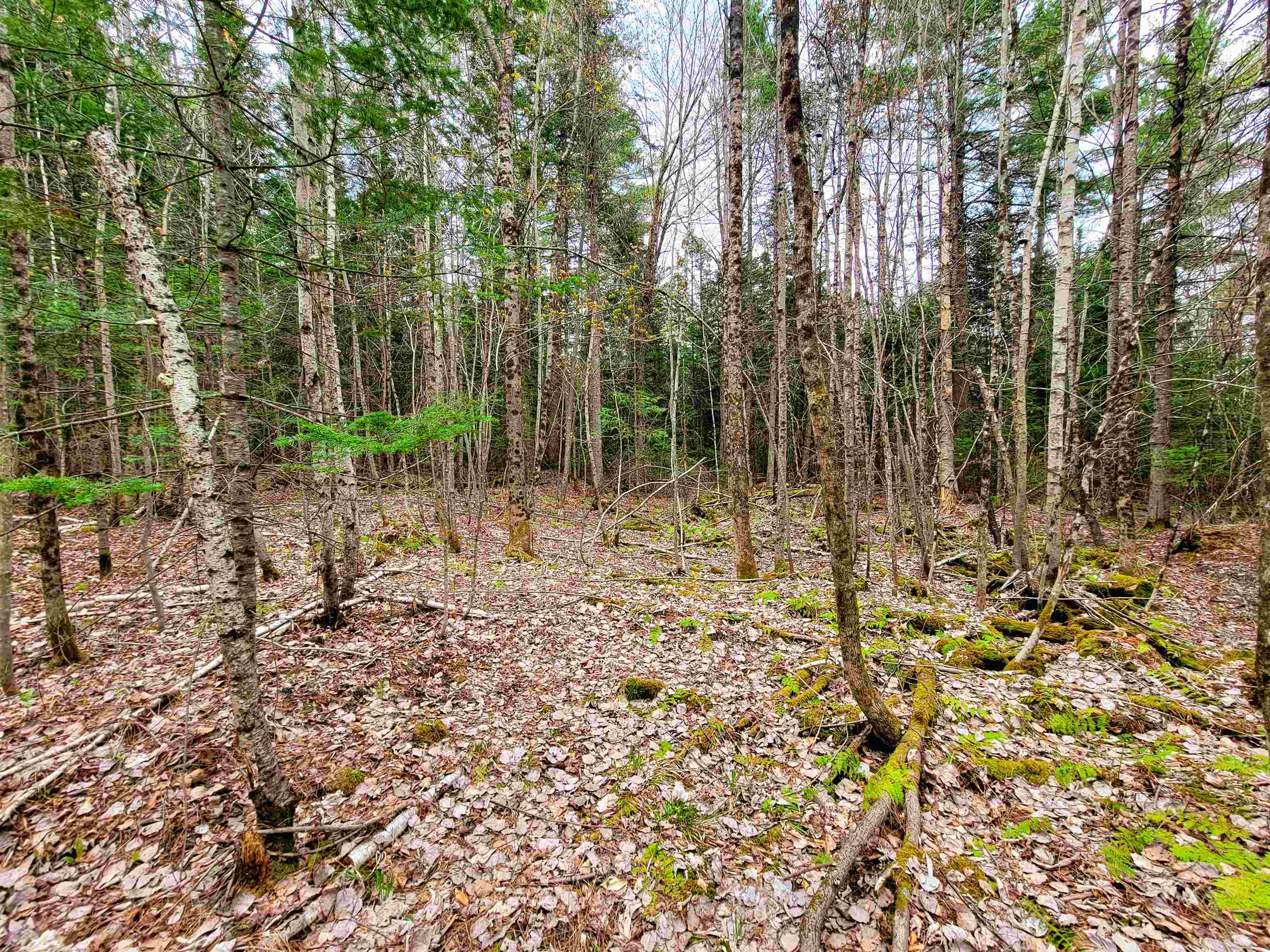 280 Guyette Road Plainfield, VT 05667 - Photo 25 of 38