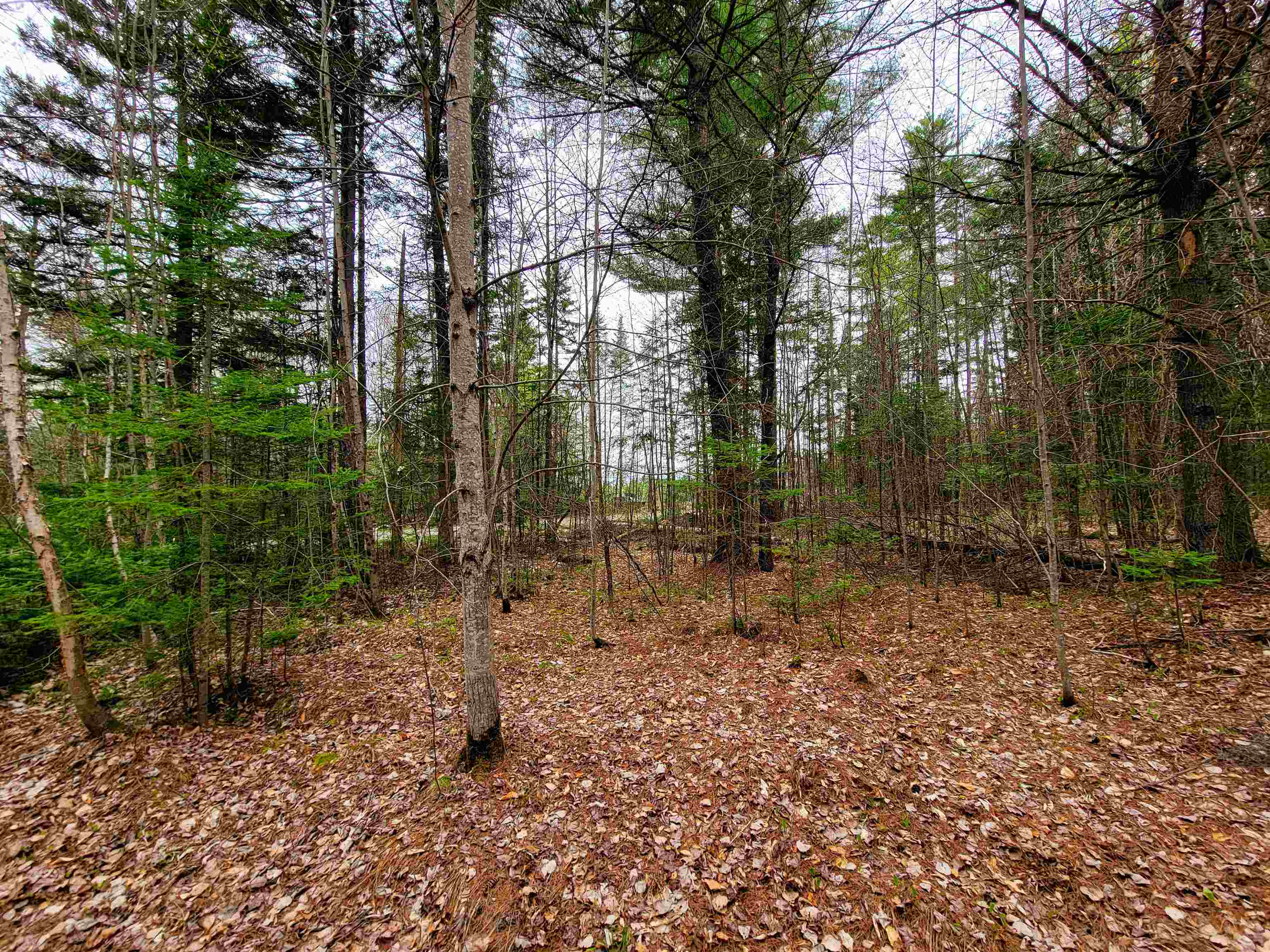 280 Guyette Road Plainfield, VT 05667 - Photo 26 of 38