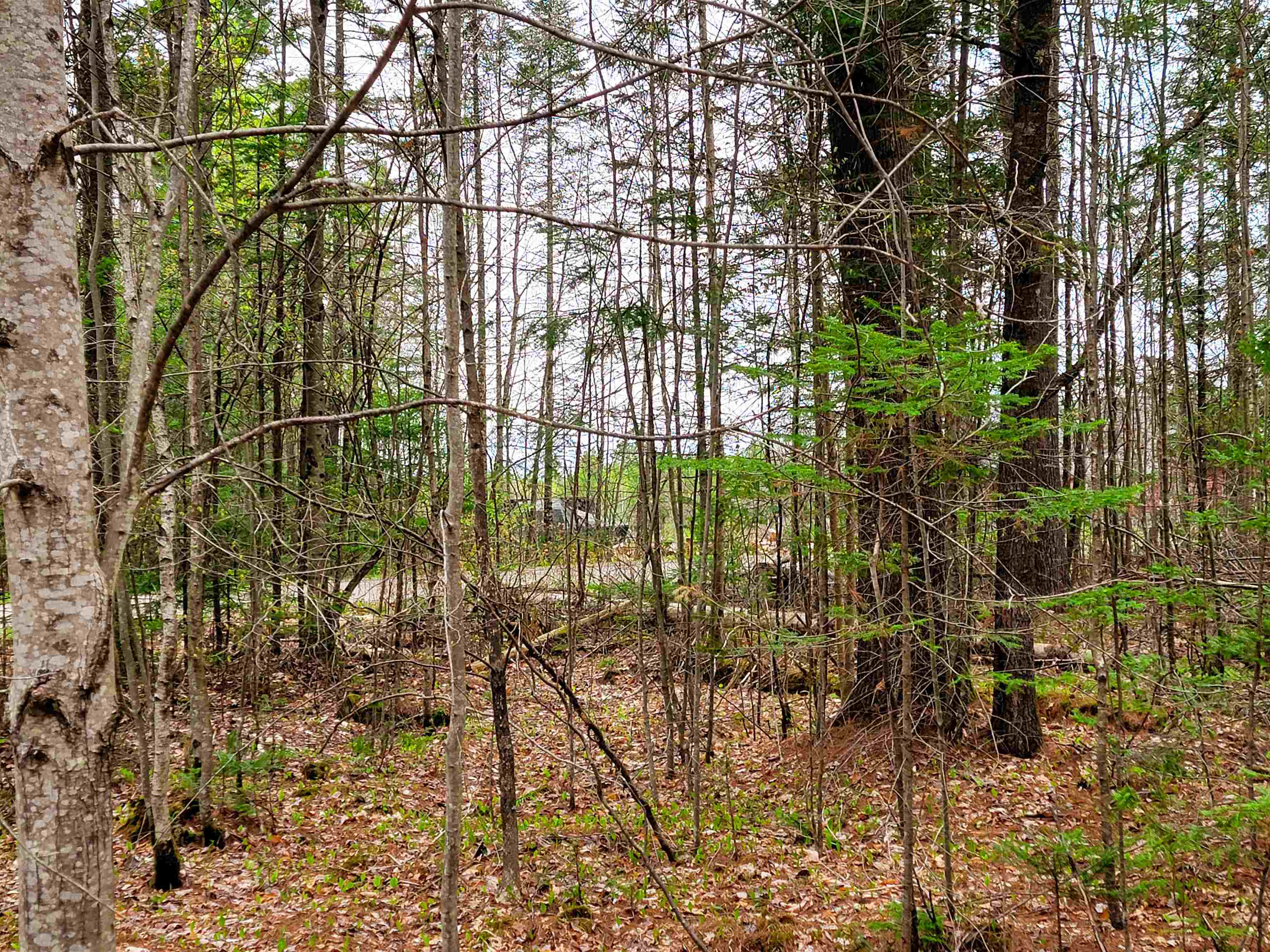 280 Guyette Road Plainfield, VT 05667 - Photo 27 of 38