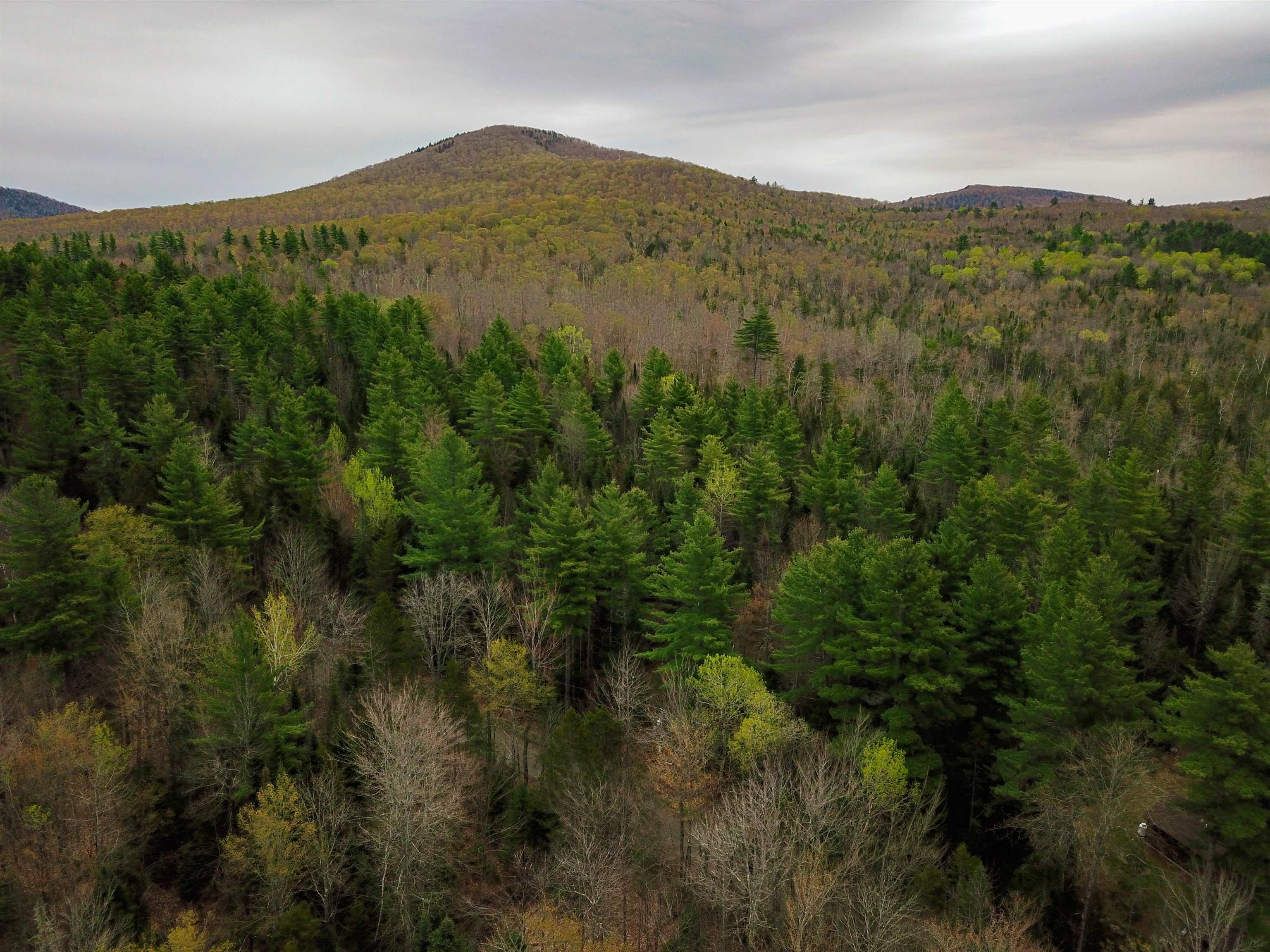 280 Guyette Road Plainfield, VT 05667 - Photo 5 of 38