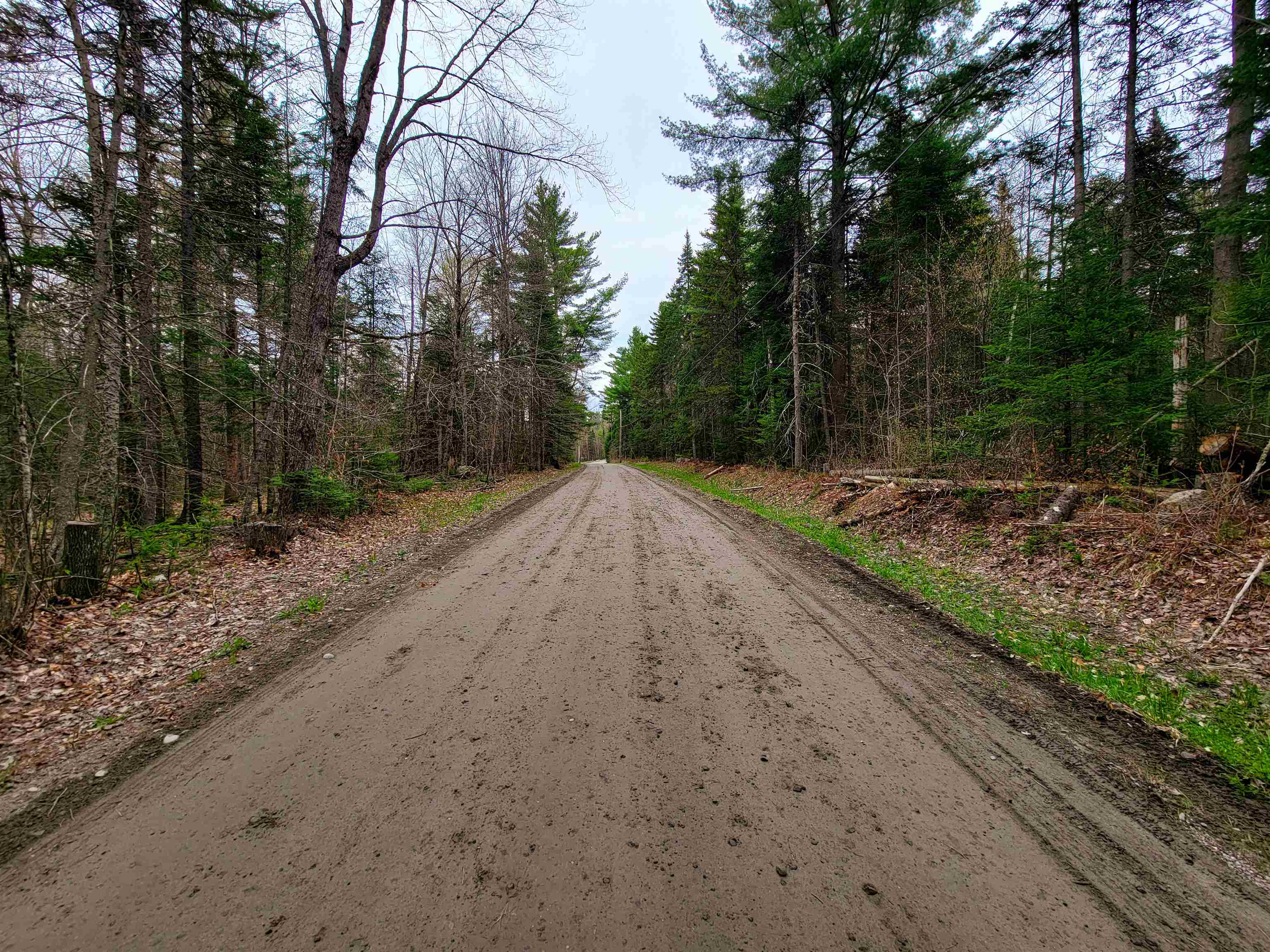 280 Guyette Road Plainfield, VT 05667 - Photo 7 of 38