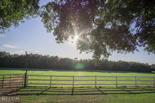 6599 Birchwood Road Grand Ridge, FL 32442 - Photo 27 of 52 Gallery Image 27