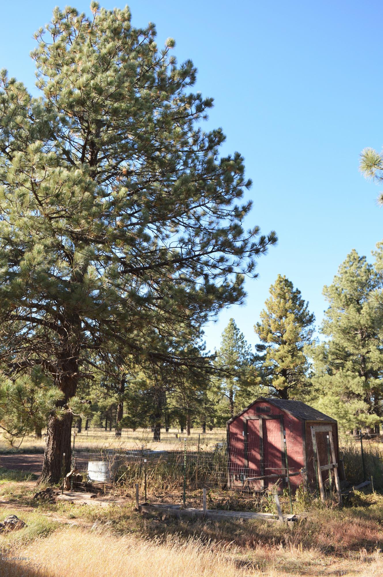 13403 King John Road Parks, AZ 86018 - Photo 56 of 67 DSC_0402 (2)