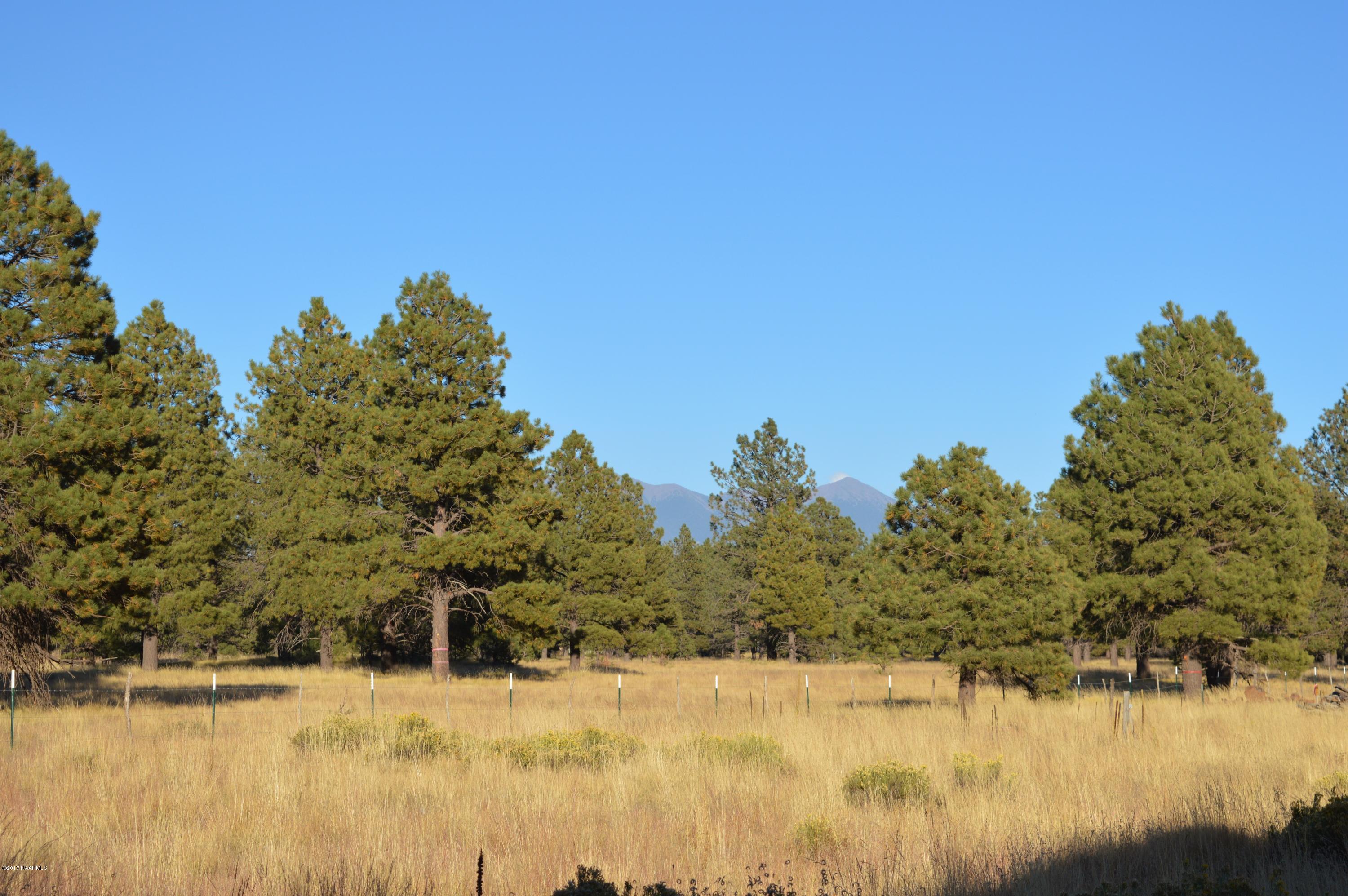 13403 King John Road Parks, AZ 86018 - Photo 60 of 67 DSC_0551 (2)
